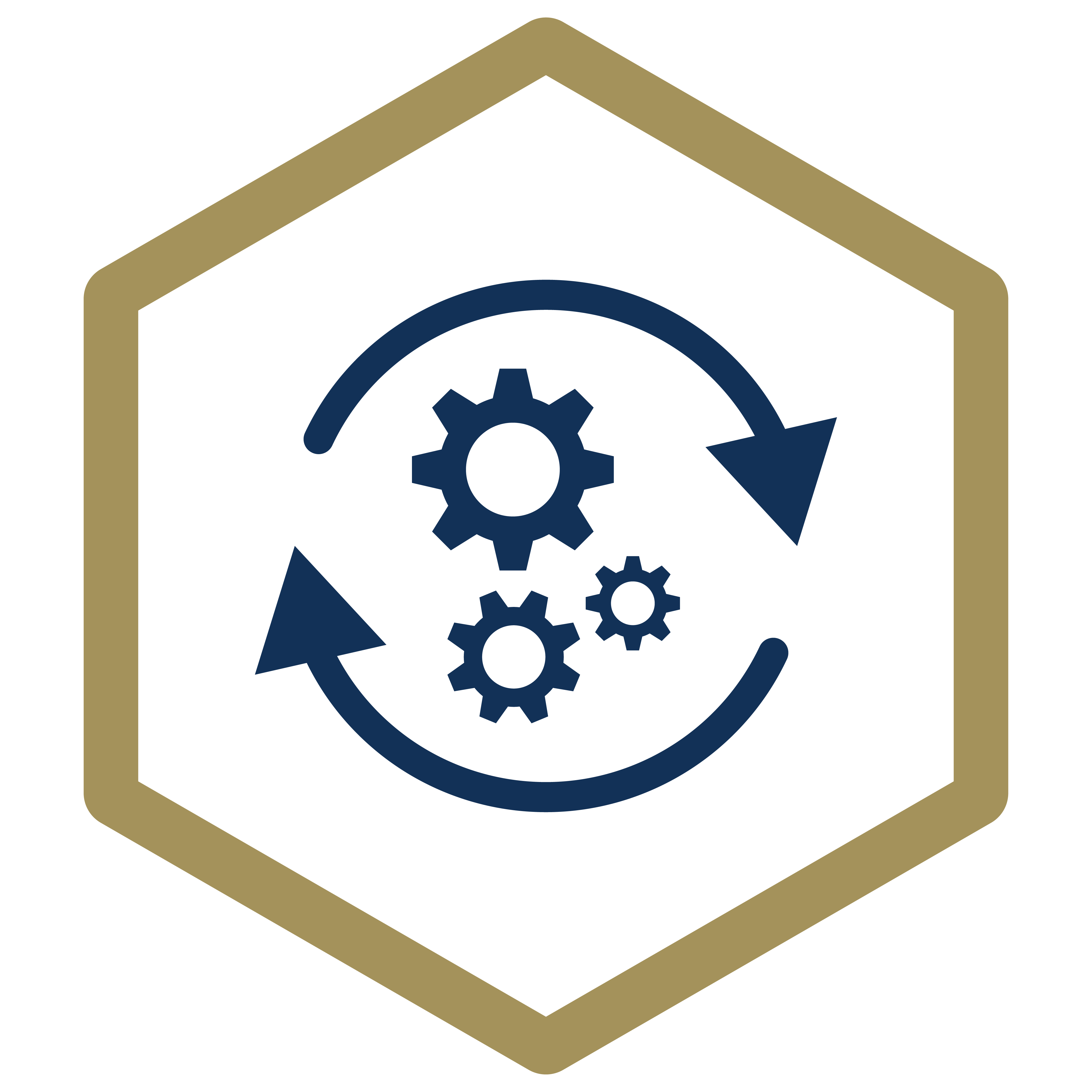 preliminary implementation