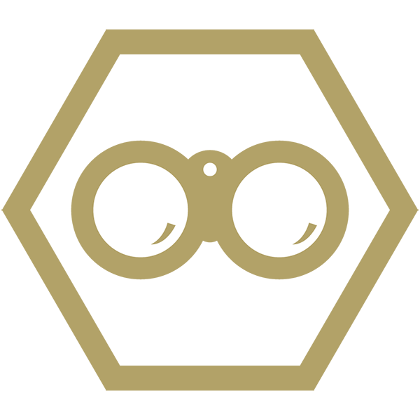 bonoculars icon